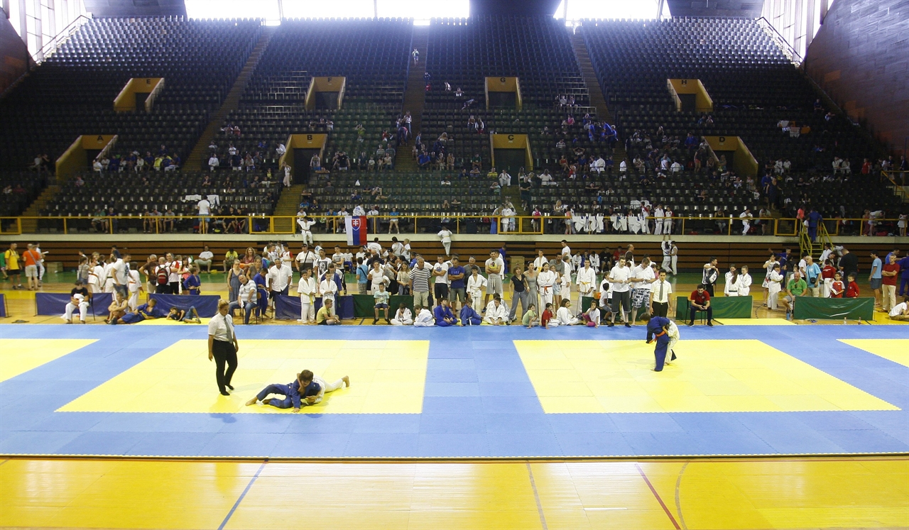 judo_kup12-270615