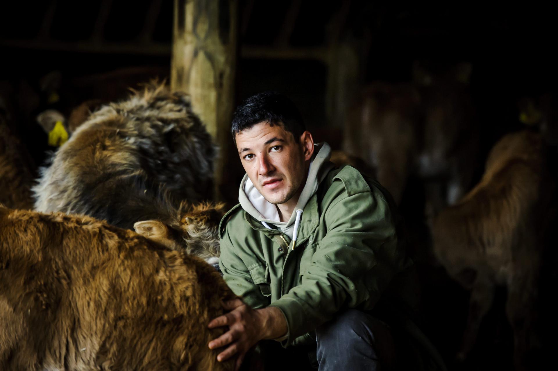 Marko Relota uzgaja domaće krave buše