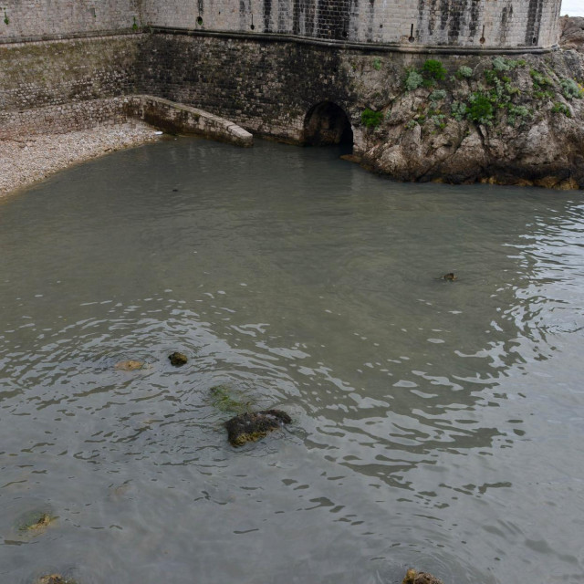 Dubrovnik,24.05.2017.&lt;br /&gt;
Pile - izljev - fekalna kanalizacija - govna&lt;br /&gt;