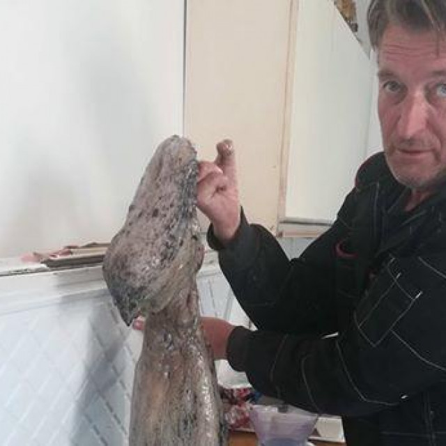 Ivica Pribilović s hobotnicom teškom 10 kg