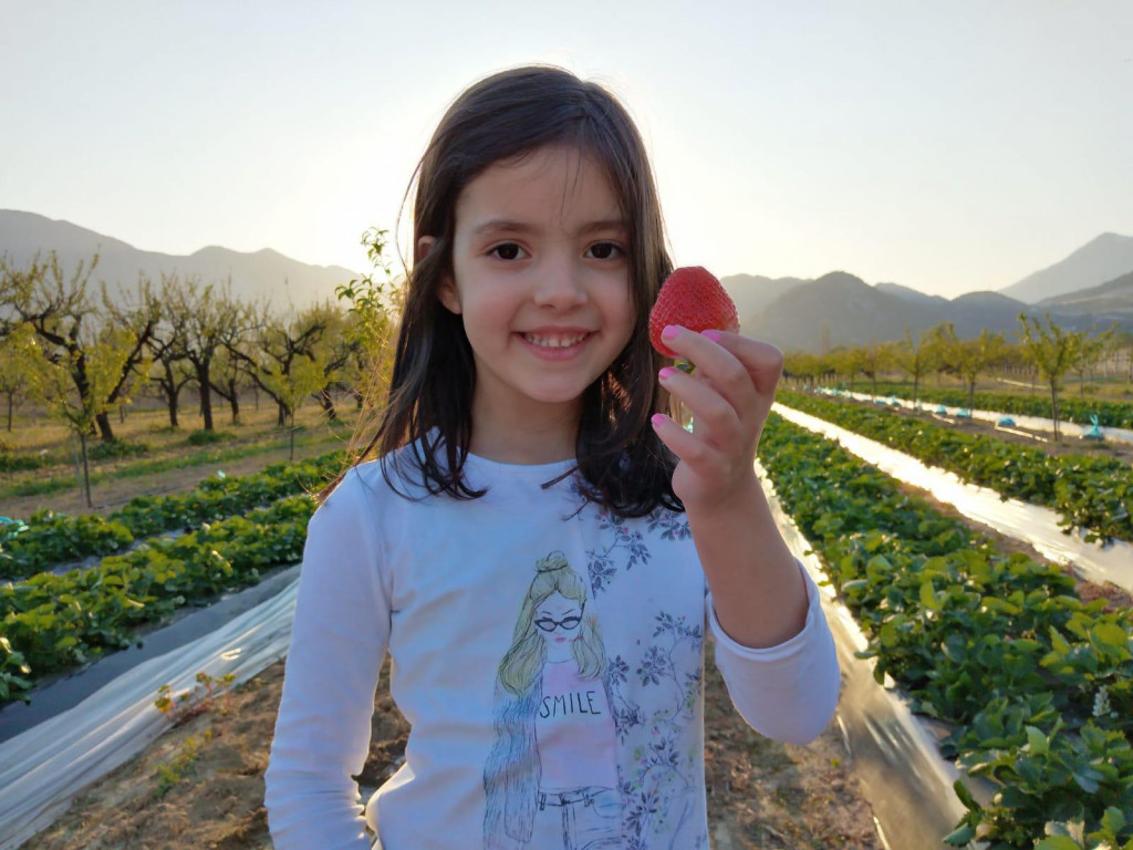 Marta Erceg iz Dusine s ponosom pokazuje plod s lokalnih nasada