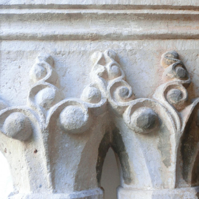 Na kapitelima klaustra Male braće mnogo je reljefnih ukrasa u formi povijenog lišća različitih vrsta, ali je jedan od najčešćih ukrasa simbol kugle