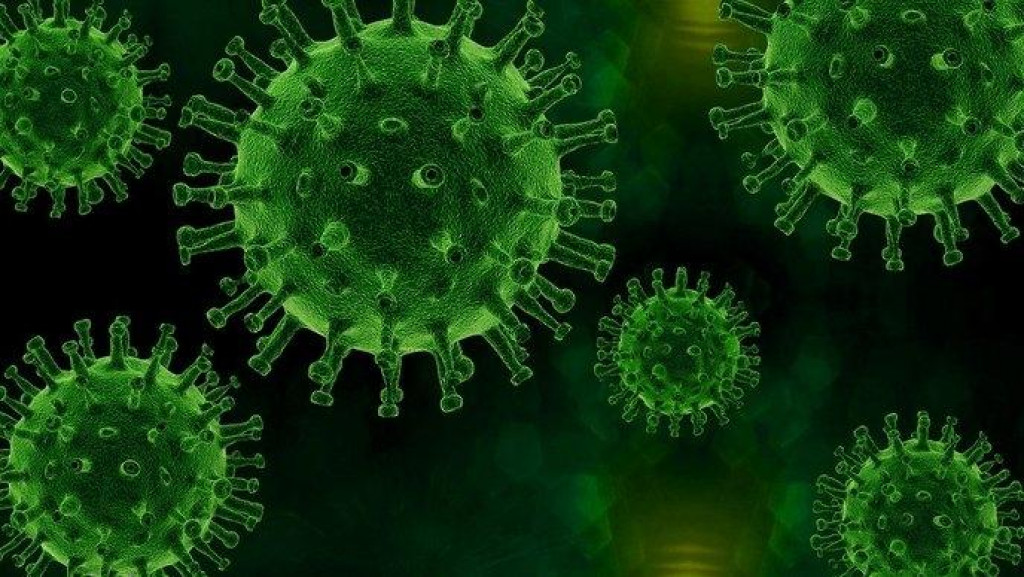 Koronavirus zasad ne prijeti krajnjem jugu