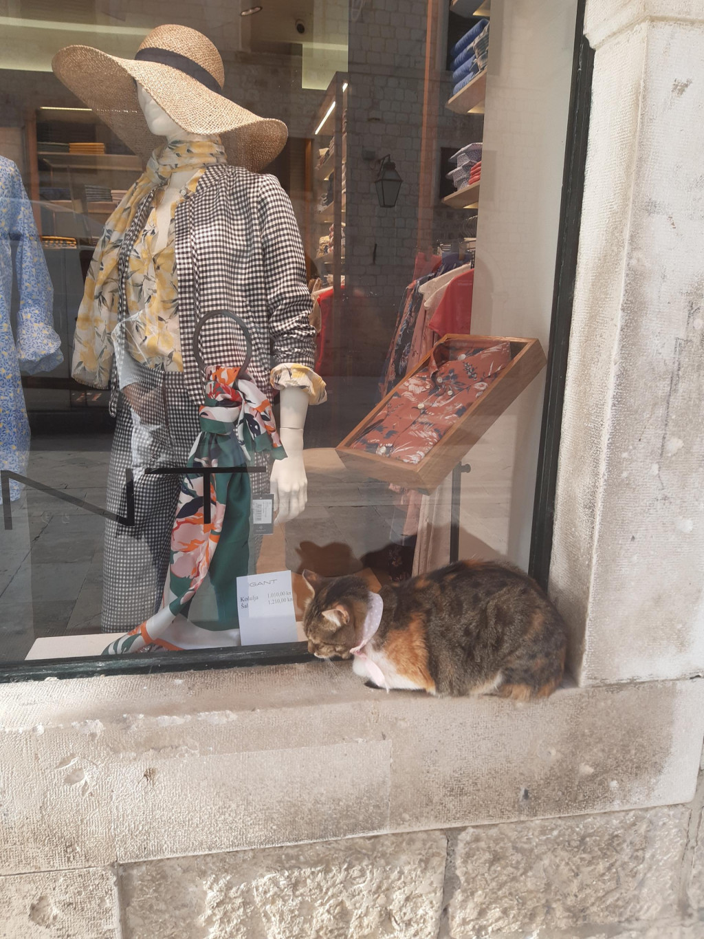 Maca s modernom maramom odmara za izlogu na Stradunu