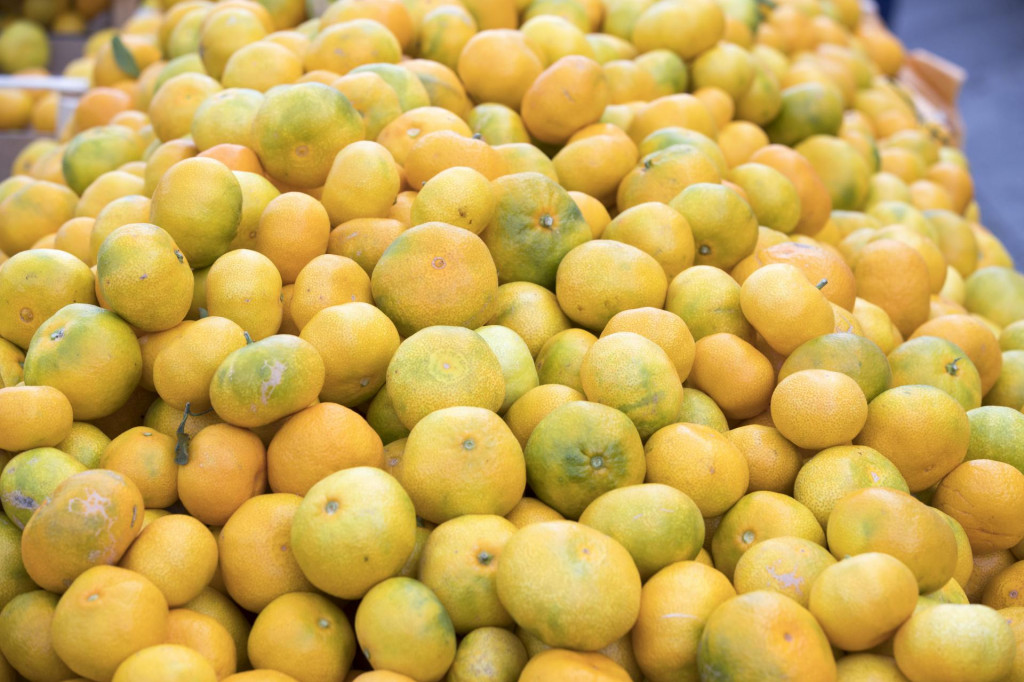 Mandarina je još uvijek vodeća voćna vrsta u Hrvatsko
