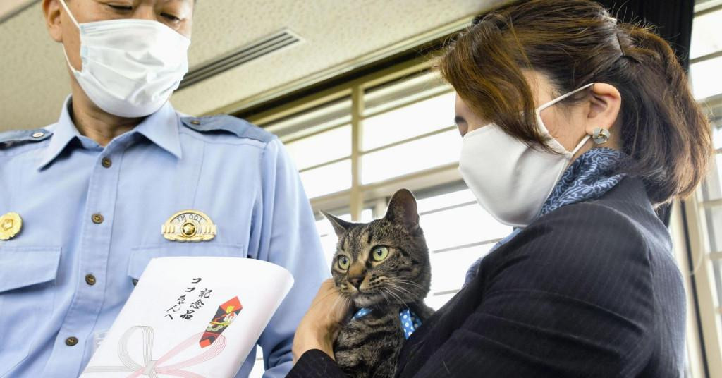 Mačka Koko dobila nagradu za akciju spašavanja