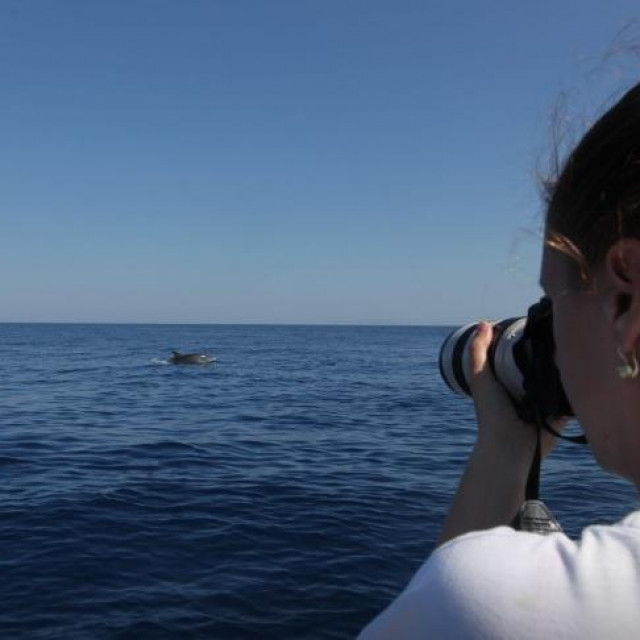 U utorak je na prostoru Starigrada-Paklenice, nakon višednevne potrage, u moru snimljen veličanstveni veliki kit (Balaenoptera physalus