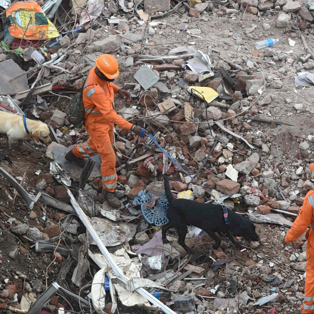 Spasilačke službe sa psima pretražuju ruševine zgrade nedaleko od Mumbaija u Indiji