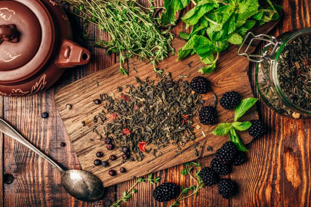 Izbojci biljke u proljeće se mogu koristiti kao dodatak salatama ili kuhati za prilog jelima, osušeni se koriste za čaj, jer su iznimno bogati flavonoidima i polifenolima