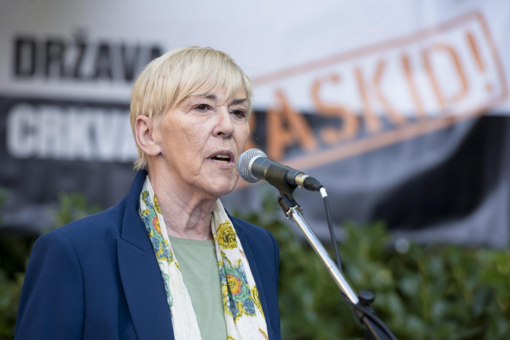Profesorica i nevladina aktivistica Sanja Sarnavka