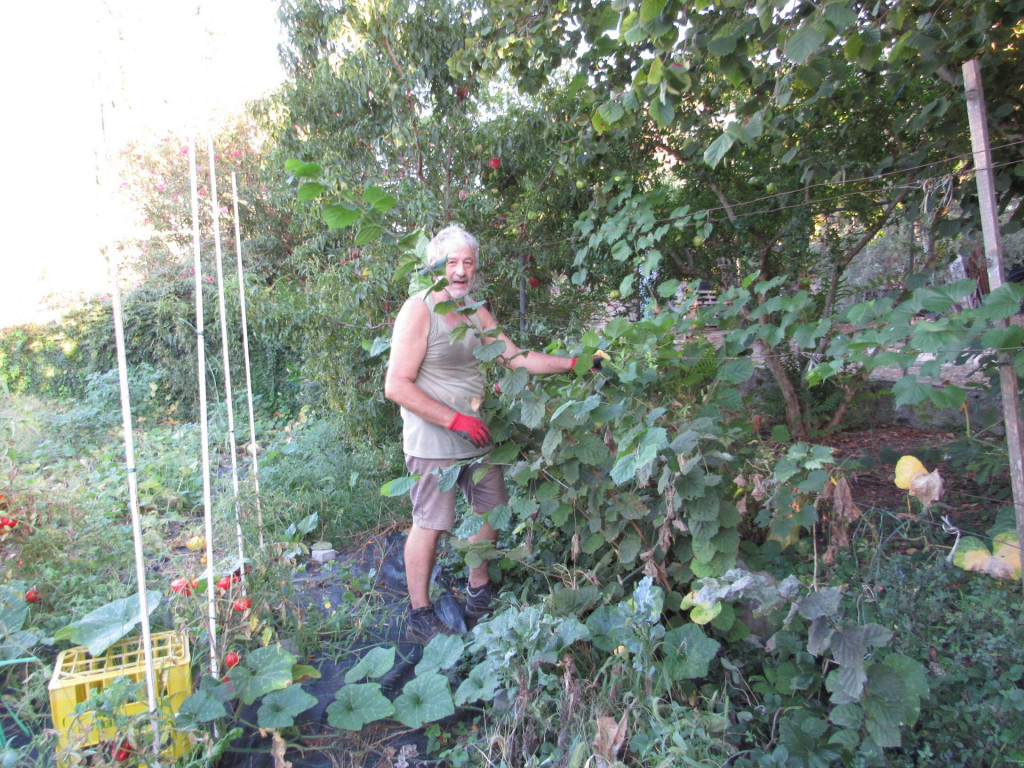 Jure Kurtović na svojoj egzotičnoj plantaži