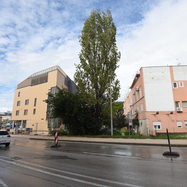 Aktivistica Eko Zadra i stanarka zgrade na Putu Murvice, Atana Grbic, tvrdi da su izgradnjom Centra za inovacije stanari izgubili dotadasnji ulaz u zgradu i da nece pristati na sjecu jablana starog 30 god kako bi se dobio alternativni put.&lt;br /&gt;
 