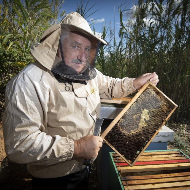 Borislav Palčić:&lt;strong&gt; &lt;/strong&gt;U svojim najboljim pčelarskim godinama uhvatio bih i deset tona meda, a sad kad bih našao i tonu, bio bih sretan