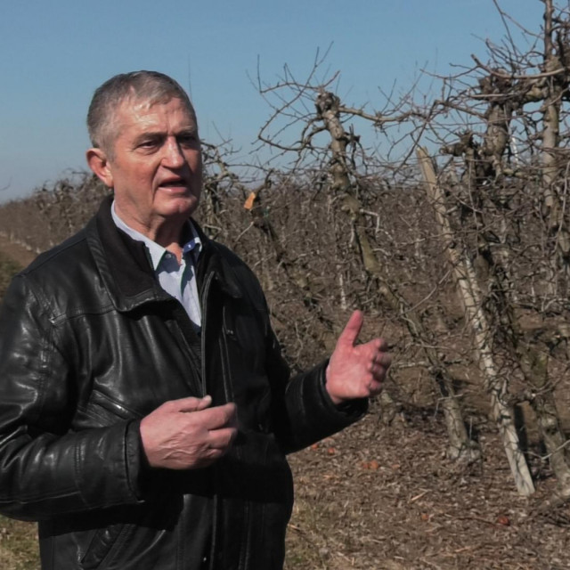 Poznati voćar Frane Ivković voćnjake prihranjuje Plantella Organikom