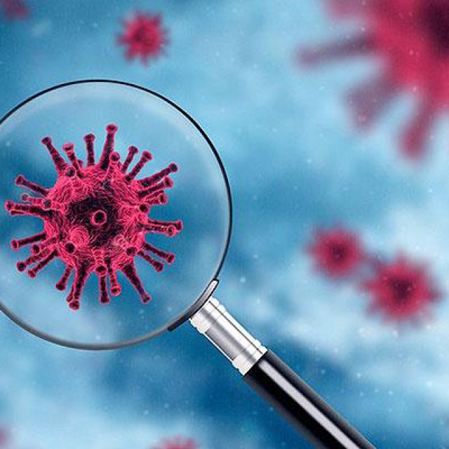Koronavirus je pod povećalom medicinara i javnosti