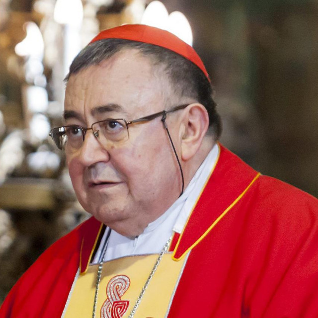 Kardinal Vinko Puljić
