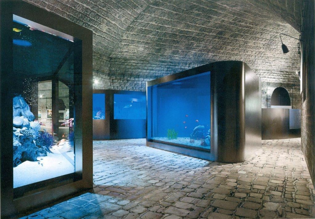 Budući izgled - bazeni u razini očiju kako bi pogled na svijet iz podmorja Jadrana bio još fascinantniji