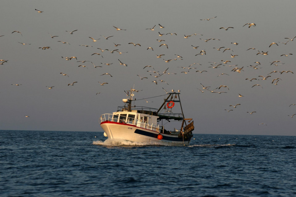 Naše ribare neće pogoditi talijansko proglašenje, osim što će ih biti sram zbog ponašanja naše države prema svome moru