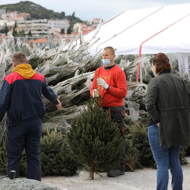 U Dubrovniku je počela prodaja božićnih drvaca