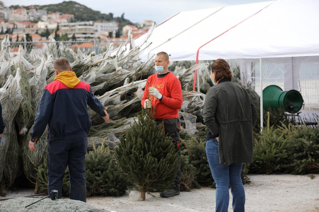 U Dubrovniku je počela prodaja božićnih drvaca