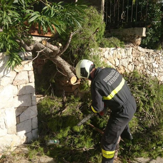 Šetnica Nika i Meda Pucića