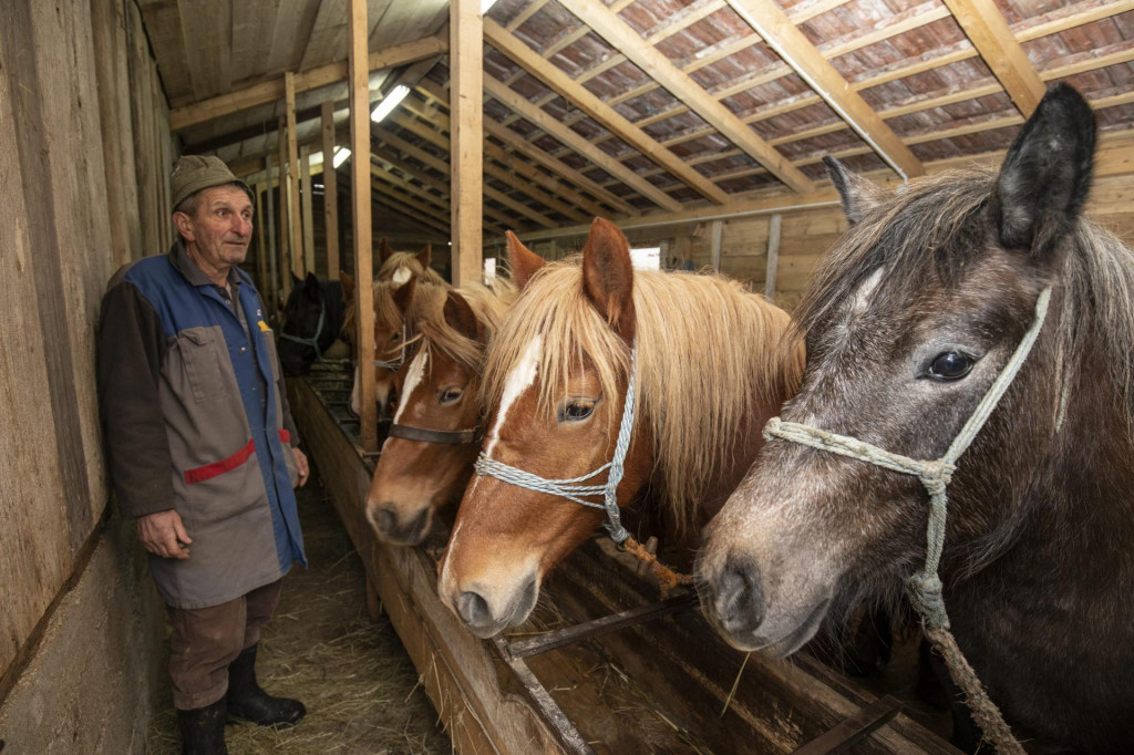 Vlado Panezić kod svojih konja u selu Slana nedaleko od Petrinje