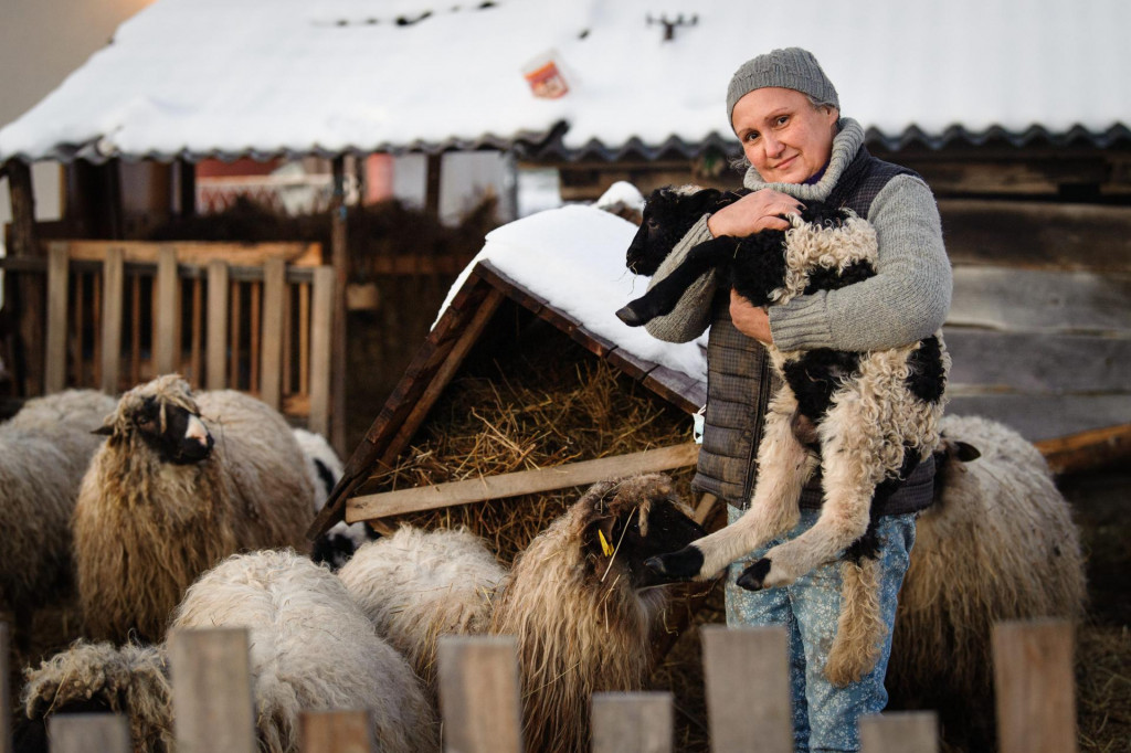 Marina Ferenčić iz udruge Lajka brine o životinjama