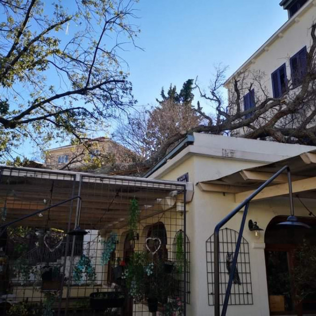 Odlomljena grana stabla poklopila je krov restorana Ruzmarin u Župi dubrovačkoj