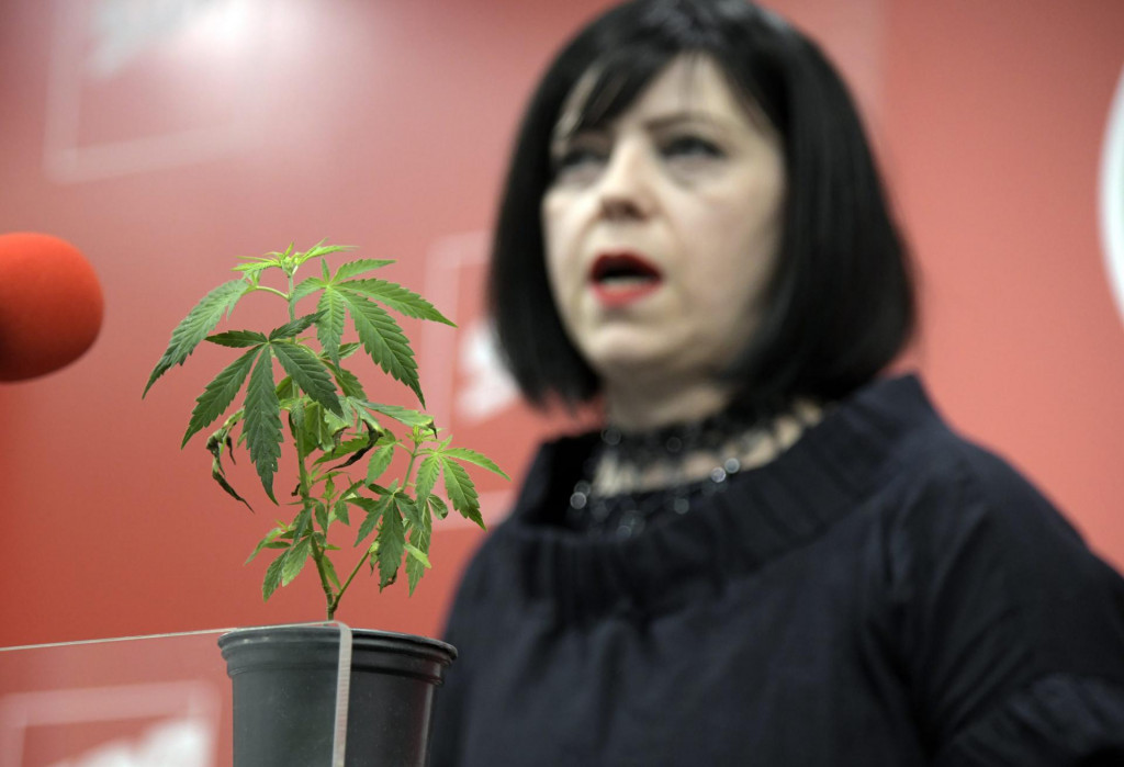 Zagrepčanka Mirela Holy predstavlja javnosti Lex Cannabis