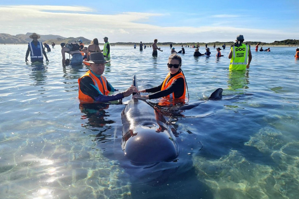 Spašavanje kitova na Novom Zelandu
