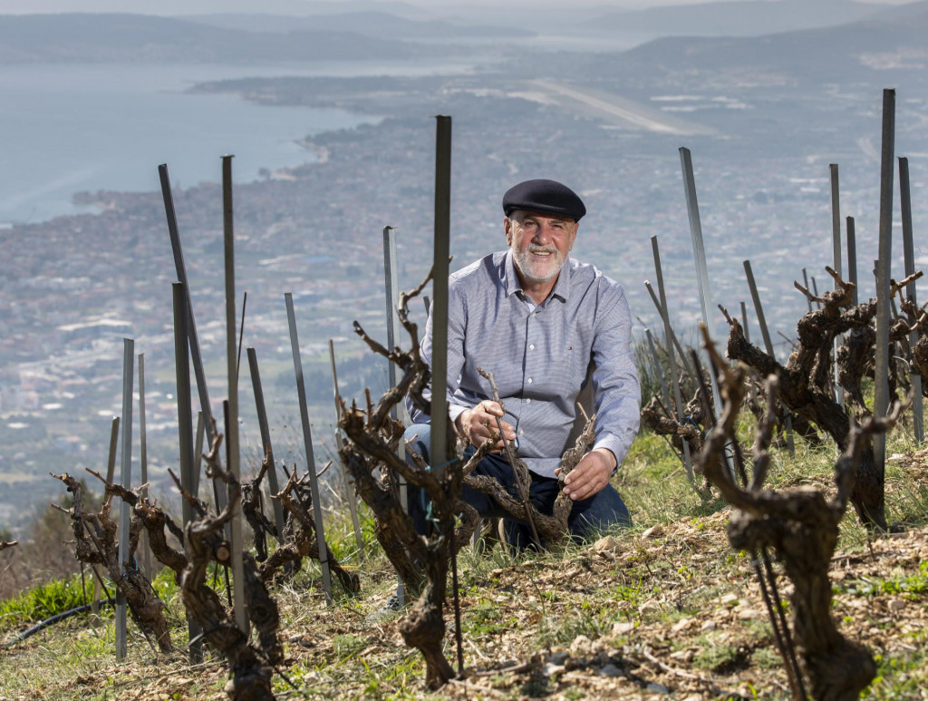 Jakša Bedalov u svome vinogradu crljenka na južnim padinama Kozjaka, na više od 400 metara nadmorske visine