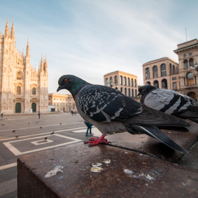 Piazza Del Duomo i novi lockdown