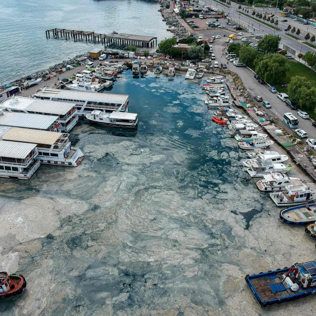 Morska sluz u Turskoj