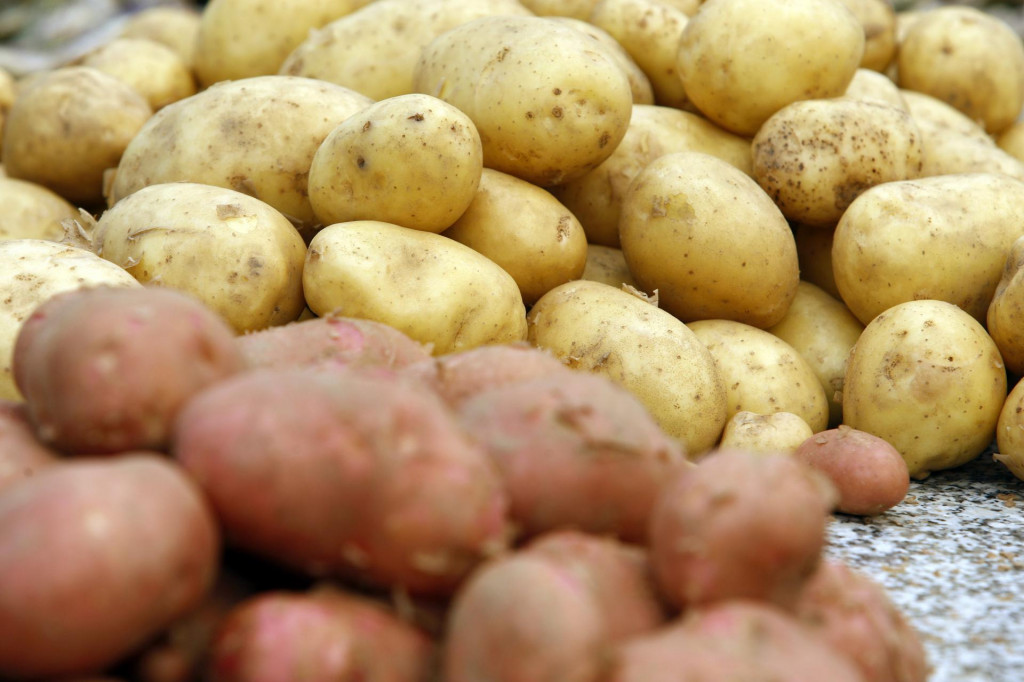 Inspekcija na granicama mora pojačati kontrole uvoznog krumpira, kaže Damir Mesarić, predsjednik udruge proizvođača krumpira