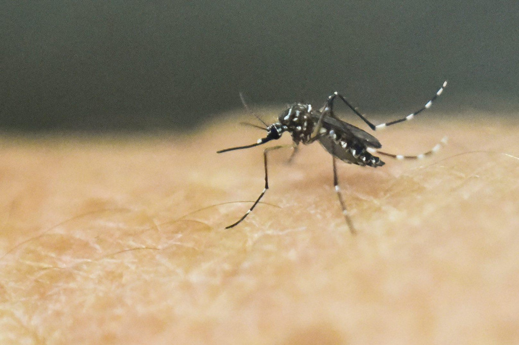 Sanitat u srpnju kreće u obračun s komarcima