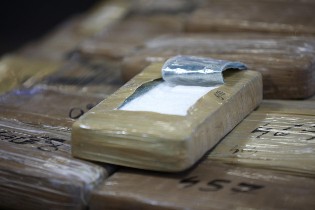 Kokain je pronađen u tri putne torbe i u rashladnom uređaju u Luci Ploče