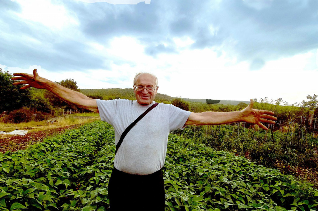 Ante Rajčić u svom raju od pomidora