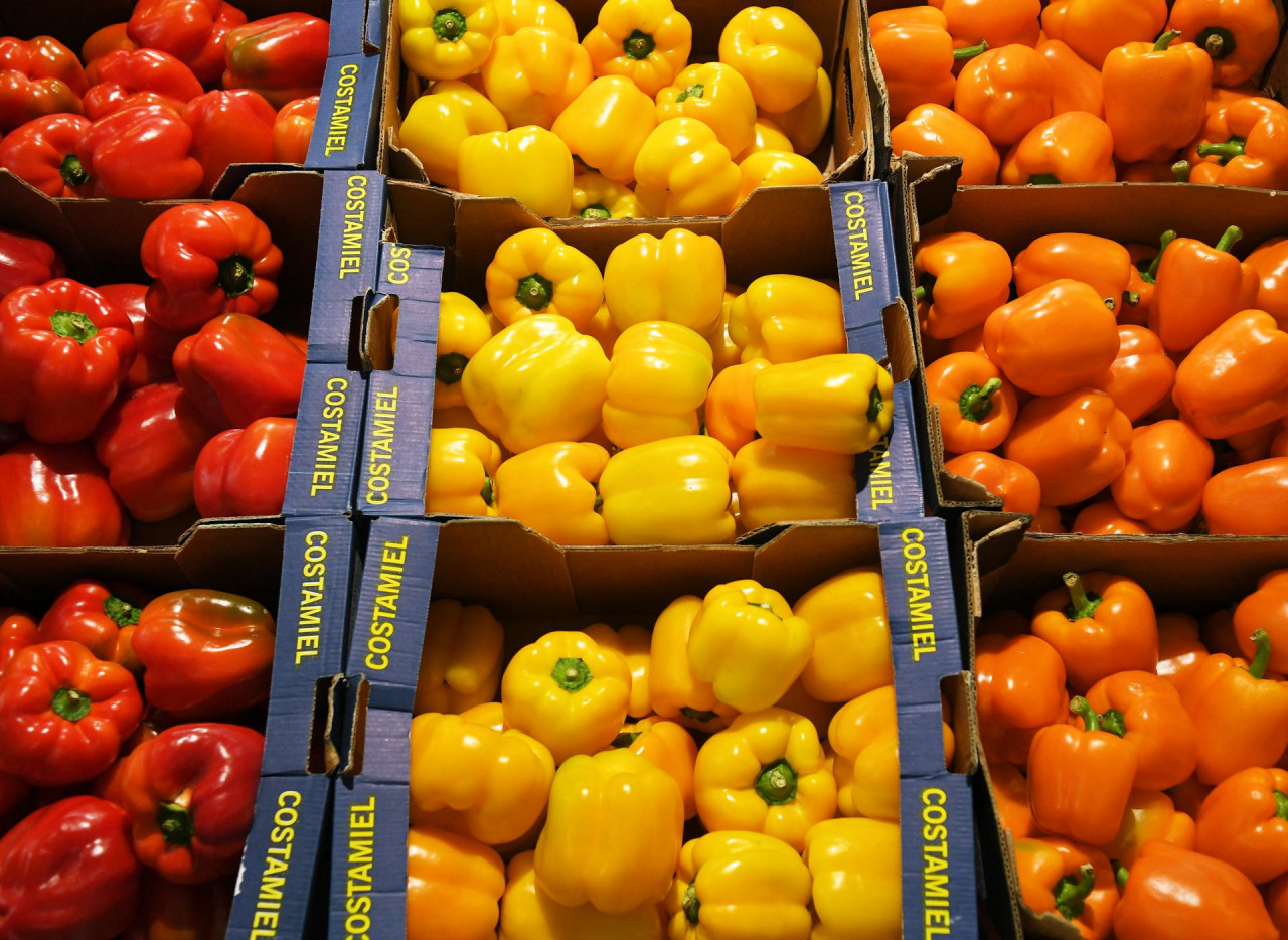 Slobodna Dalmacija - Paprika je jako korisna za organizam, a može se jesti  na sto načina: evo zašto biste ovo povrće trebali uvrstiti u plan prehrane