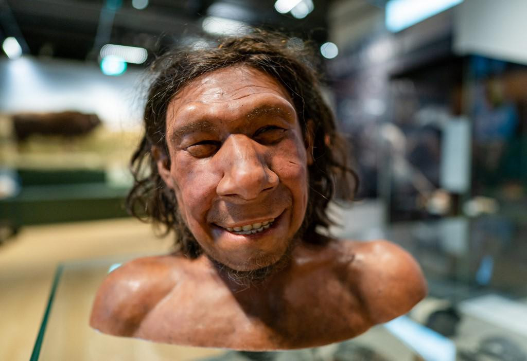 Krijn je živio u Doggerlandu prije više od 50.000 godina