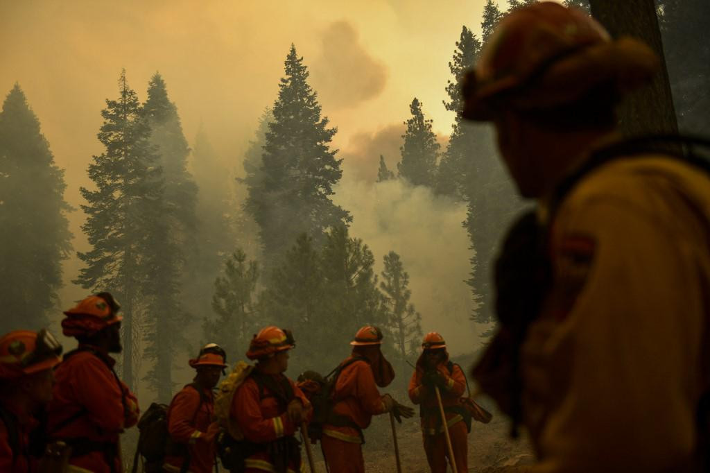 Požari uništavaju šume