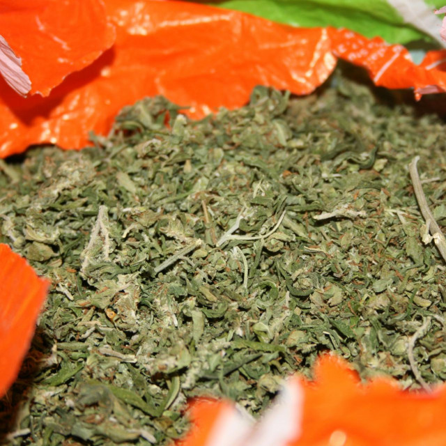Policija je u vozilu otkrila 54,2 kg marihuane