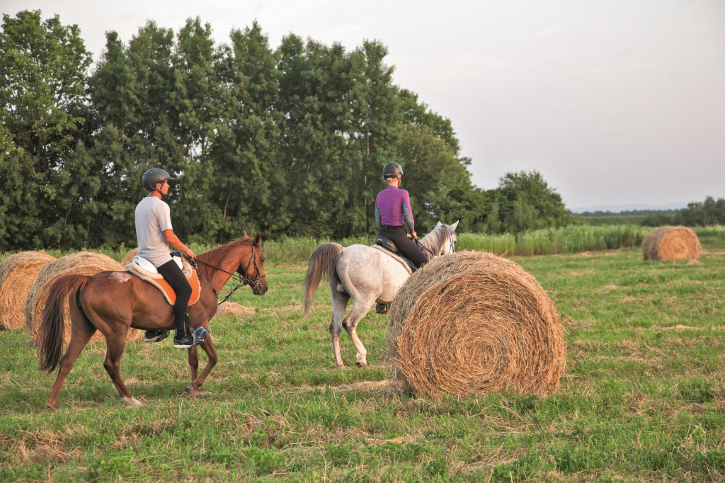 Konjički sport u Slavoniji ima sve više pobornika&lt;br /&gt;
 