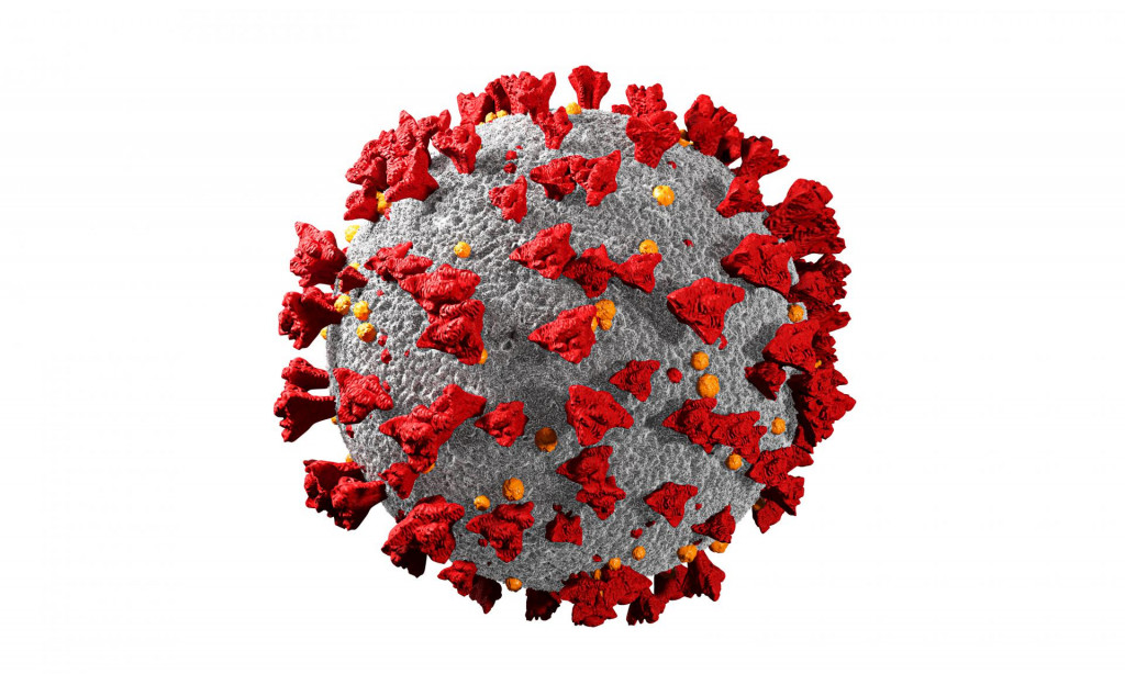  Najbliži prirodni virus Sars-CoV-2 virusu je soj Banal-52, prijavljen u Laosu prošlog mjeseca. On dijeli 96,8 posto genoma Covida-19