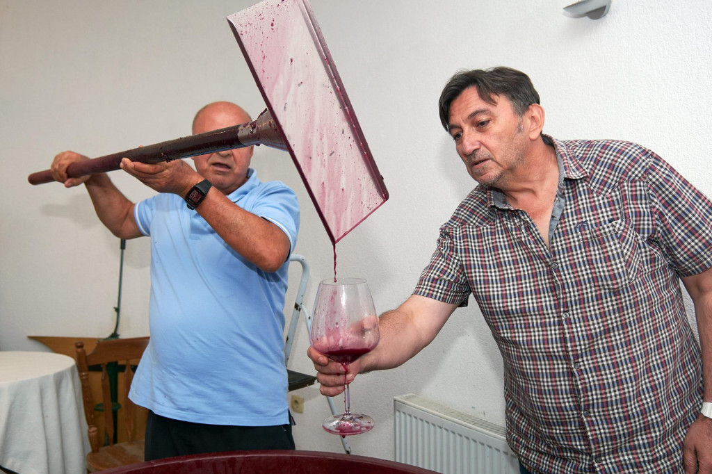 Vrenje mošta koji će se pretvoriti u vrhunsko vino vinara Dane Slamića
