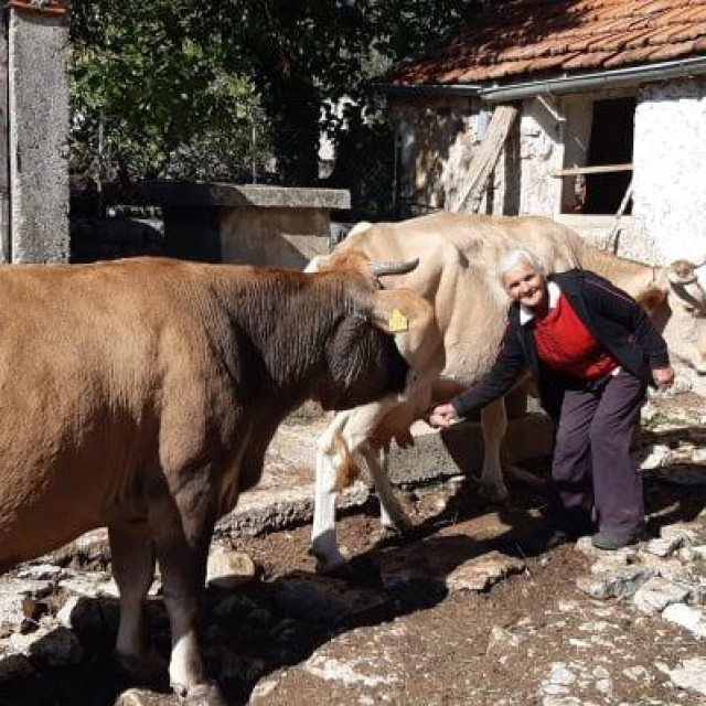 Draginja Oluić ima tri krave i dva teleta