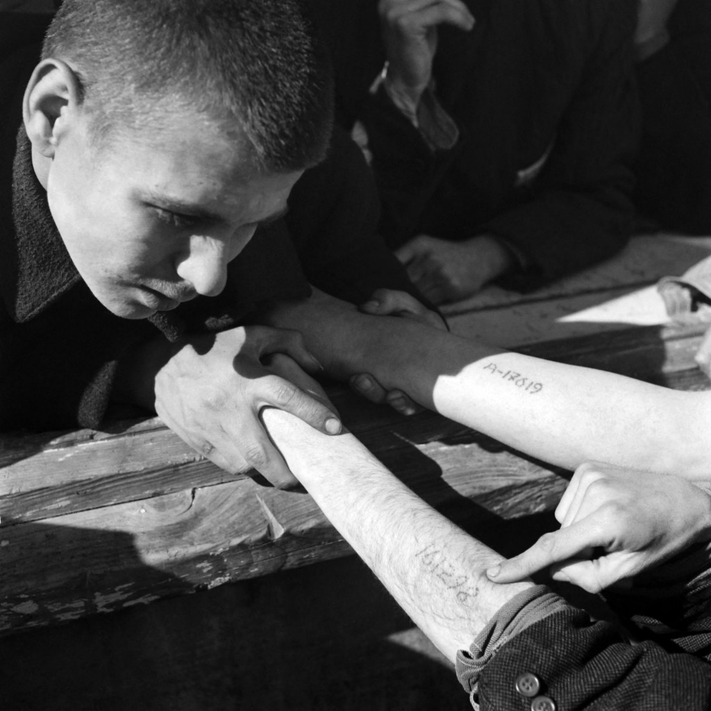 Mladić provjerava brojeve istetovirane na rukama židovskih poljskih zatvorenika koji dolaze iz Auschwitza, u koncentracijski logor Dachau krajem travnja ili početkom svibnja 1945.
