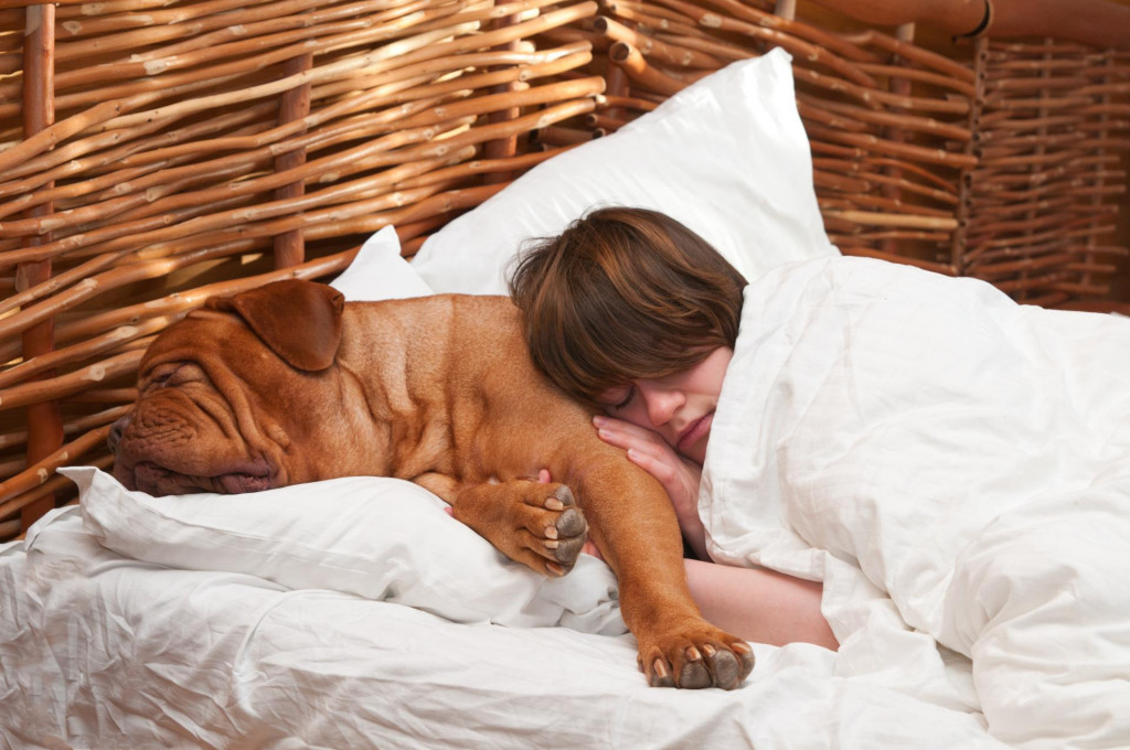 Za one koji nisu sigurni kako bi spavanje s ljubimcima djelovalo na kvalitetu njihovog sna, stručnjaci preporučuju da pokušaju spavati s njima nekoliko noći zaredom