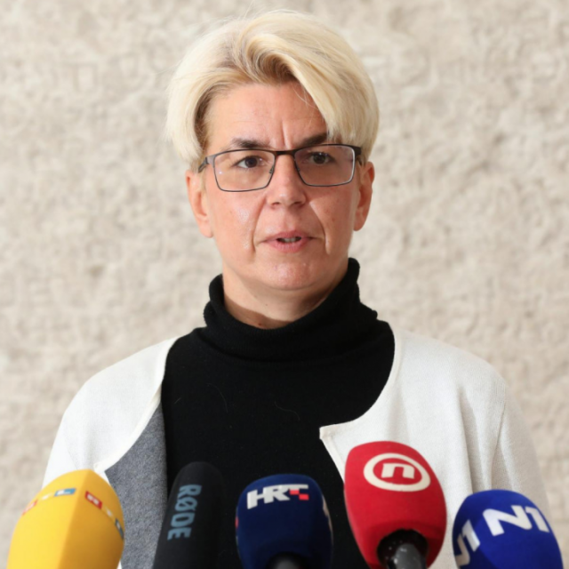 Ustavna stručnjakinja dr. sc. Sanja Barić