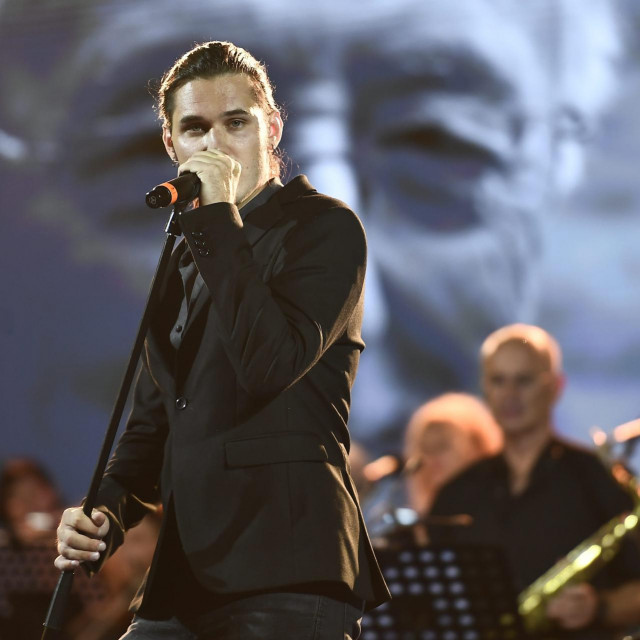 Dino Jelu&scaron;ić