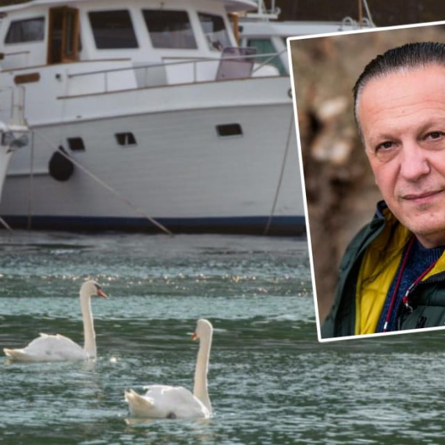 Poznati splitski kirurg kažnjen je jer je na Facebooku komentirao nekažnjavanje mađarskog turista koji je skokom s jahte ubio labuda u Skradinu